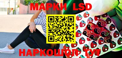 МДПВ Камышлов
