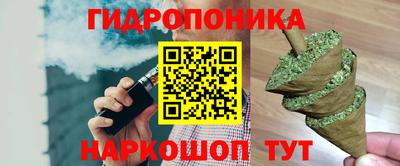 МДПВ Камышлов