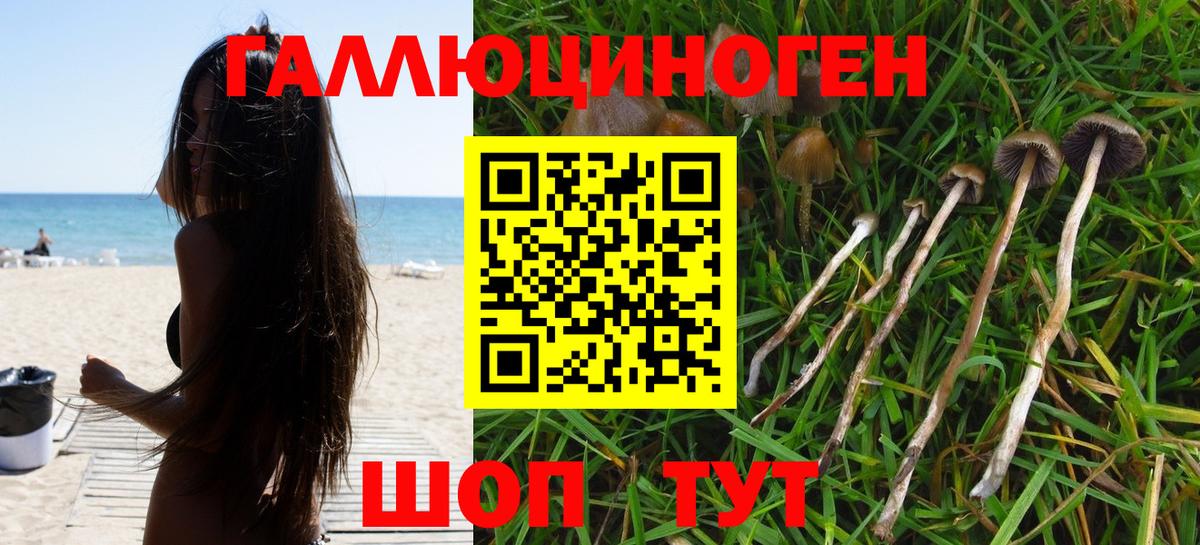 Ишим  Псилоцибиновые грибы Psilocybe  Вход с VPN 